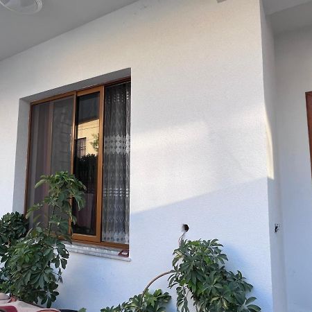 David Guesthouse ชโคเดอร์ ภายนอก รูปภาพ